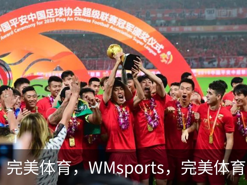 完美体育，WMsports，完美体育官方，完美体育平台，完美体育下载概况